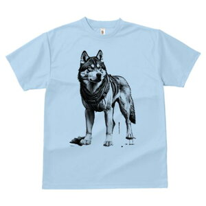 nXL[ TVc  j[NfUCfB[X t@  t vg lJWA 킢 lԗp Mtg I ҏ΍ n[lX nXL[ m t@^W[ SF