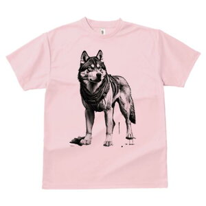 nXL[ TVc  j[NfUCfB[X t@  t vg lJWA 킢 lԗp Mtg I ҏ΍ n[lX nXL[ m t@^W[ SF