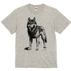 nXL[ TVc  j[NfUCfB[X t@  t vg lJWA 킢 lԗp Mtg I ҏ΍ n[lX nXL[ m t@^W[ SF