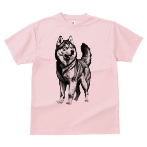 nXL[ TVc  j[NfUCfB[X t@  t vg lJWA 킢 lԗp Mtg I ҏ΍ nXL[