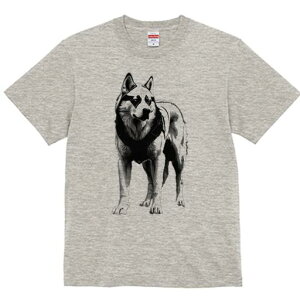 nXL[ TVc  j[NfUCfB[X t@  t vg lJWA 킢 lԗp Mtg I ҏ΍ nXL[