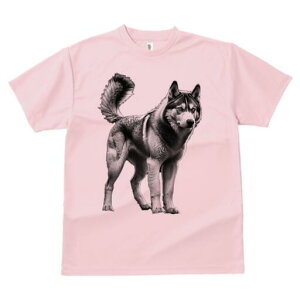 nXL[ TVc  j[NfUCfB[X t@  t vg lJWA 킢 lԗp Mtg I ҏ΍ nXL[