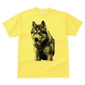 VxAnXL[ TVc  j[NfUCfB[X t@  t vg lJWA 킢 lԗp Mtg I ҏ΍ n[lX VxAnXL[