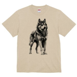 nXL[ TVc  j[NfUCfB[X t@  t vg lJWA 킢 lԗp Mtg I ҏ΍ nXL[