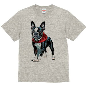 {XgeA TVc  j[NfUCfB[X t@  t vg lJWA 킢 lԗp Mtg I ҏ΍ XJ[t {XgeA