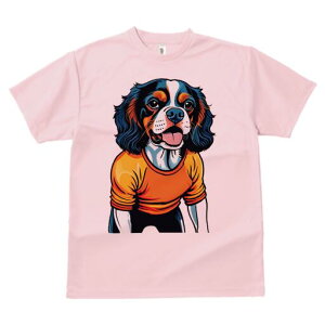 LoA TVc  j[NfUCfB[X t@  t vg lJWA 킢 lԗp Mtg I ҏ΍ TVc LoA 