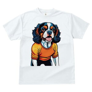 LoA TVc  j[NfUCfB[X t@  t vg lJWA 킢 lԗp Mtg I ҏ΍ TVc LoA 