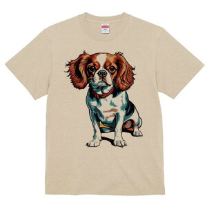 LoA TVc  j[NfUCfB[X t@  t vg lJWA 킢 lԗp Mtg I ҏ΍ LoA