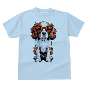 LoA TVc  j[NfUCY LbY t@  t vg lJWA 킢 lԗp Mtg I ҏ΍ Kl LoA  CXg