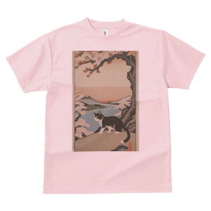 TVc  j[NfUCfB[X t@  t vg lJWA 킢 lԗp Mtg I ҏ΍ L xmR i  