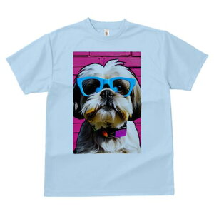 V[Y[ TVc  j[NfUCfB[X t@  t vg lJWA 킢 lԗp Mtg I ҏ΍ Kl V[Y[ sN̕