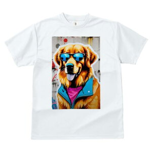 S[fgo[ TVc  j[NfUCfB[X t@  t vg lJWA 킢 lԗp Mtg I ҏ΍ TOX S[fgo[ 