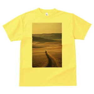 TVc  j[NfUCfB[X t@  t vg lJWA 킢 lԗp Mtg I ҏ΍ i  u n R