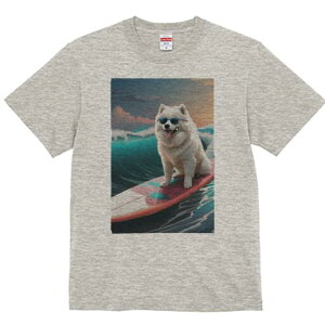 TGh TVc  j[NfUCfB[X t@  t vg lJWA 킢 lԗp Mtg I ҏ΍ g TGh C T[t{[h TOX