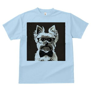 [NV[eA TVc  j[NfUCfB[X t@  t vg lJWA 킢 lԗp Mtg I ҏ΍ Kl [NV[eA lN^