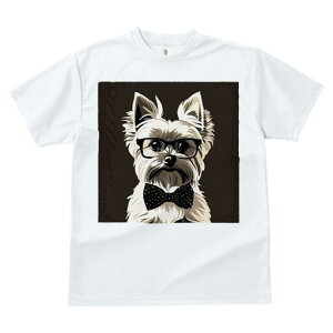 [NV[eA TVc  j[NfUCfB[X t@  t vg lJWA 킢 lԗp Mtg I ҏ΍ Kl [NV[eA lN^