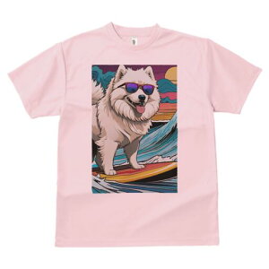 TGh TVc  j[NfUCfB[X t@  t vg lJWA 킢 lԗp Mtg I ҏ΍ TOX TGh T[tB g C