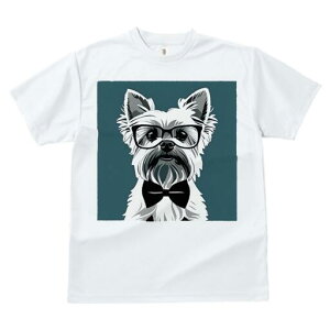 [NV[eA TVc  j[NfUCfB[X t@  t vg lJWA 킢 lԗp Mtg I ҏ΍ Kl [NV[eA lN^