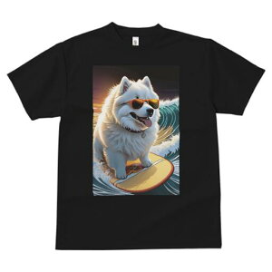 TGh TVc  j[NfUCfB[X t@  t vg lJWA 킢 lԗp Mtg I ҏ΍ TOX TGh T[tB g C