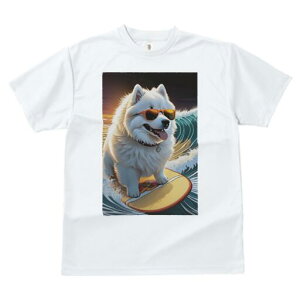 TGh TVc  j[NfUCfB[X t@  t vg lJWA 킢 lԗp Mtg I ҏ΍ TOX TGh T[tB g C