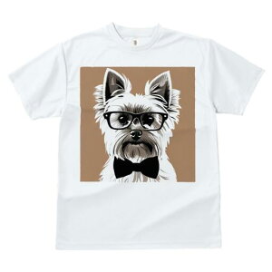 [NV[eA TVc  j[NfUCfB[X t@  t vg lJWA 킢 lԗp Mtg I ҏ΍ Kl [NV[eA lN^