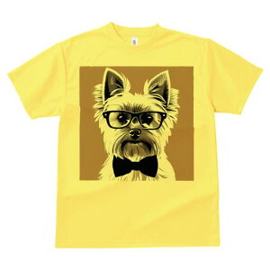 [NV[eA TVc  j[NfUCfB[X t@  t vg lJWA 킢 lԗp Mtg I ҏ΍ Kl [NV[eA lN^