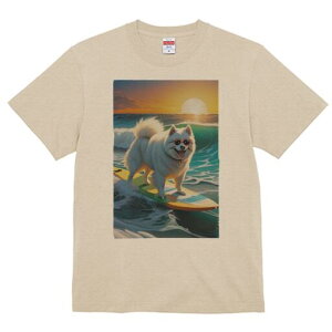 AJGXL[hbO TVc  j[NfUCfB[X t@  t vg lJWA 킢 lԗp Mtg I ҏ΍ T[tB AJGXL