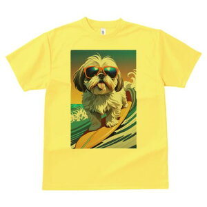 V[Y[ TVc  j[NfUCfB[X t@  t vg lJWA 킢 lԗp Mtg I ҏ΍ TOX V[Y[ T[tB g C