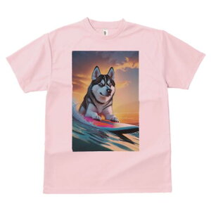 VxAnXL[ TVc  j[NfUCfB[X t@  t vg lJWA 킢 lԗp Mtg I ҏ΍ T[tB VxAnXL[ C g 