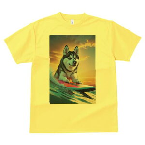 VxAnXL[ TVc  j[NfUCfB[X t@  t vg lJWA 킢 lԗp Mtg I ҏ΍ T[tB VxAnXL[ C g 