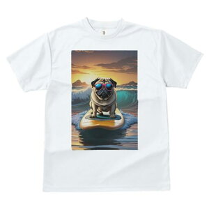 pO TVc  j[NfUCfB[X t@  t vg lJWA 킢 lԗp Mtg I ҏ΍ T[tB pO C g [Ă