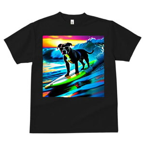 AJsbgueA TVc  j[NfUCfB[X t@  t vg lJWA 킢 lԗp Mtg I ҏ΍ T[tB AJsbg