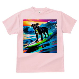 AJsbgueA TVc  j[NfUCfB[X t@  t vg lJWA 킢 lԗp Mtg I ҏ΍ T[tB AJsbg