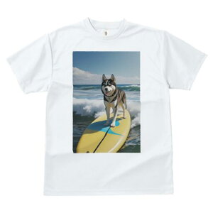 nXL[ TVc  j[NfUCfB[X t@  t vg lJWA 킢 lԗp Mtg I ҏ΍ T[tB nXL[ C g 