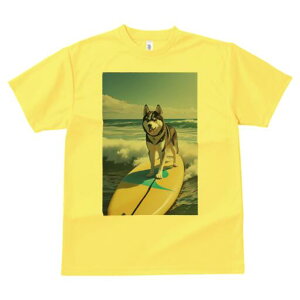 nXL[ TVc  j[NfUCfB[X t@  t vg lJWA 킢 lԗp Mtg I ҏ΍ T[tB nXL[ C g 