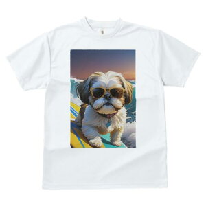 V[Y[ TVc  j[NfUCfB[X t@  t vg lJWA 킢 lԗp Mtg I ҏ΍ TOX V[Y[ T[tB C g