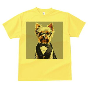 [NV[eA TVc  j[NfUCfB[X t@  t vg lJWA 킢 lԗp Mtg I ҏ΍ Kl [NV[eA lN^