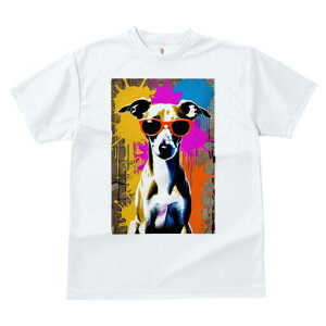 C^AO[nEh TVc  j[NfUCfB[X t@  t vg lJWA 킢 lԗp Mtg I ҏ΍ TOX C^AO[n