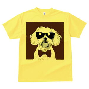 }`[Y TVc  j[NfUCfB[X t@  t vg lJWA 킢 lԗp Mtg I ҏ΍ TOX }`[Y lN^C