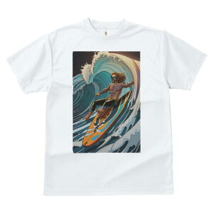 TVc  j[NfUCfB[X t@  t vg lJWA 킢 lԗp Mtg I ҏ΍ T[tB g C  r[`