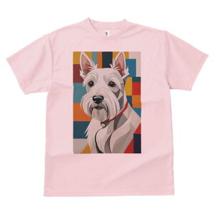 EGXgnChzCgeA TVc  j[NfUCY LbY t@  t vg lJWA 킢 lԗp Mtg I ҏ΍ EGXgnCh