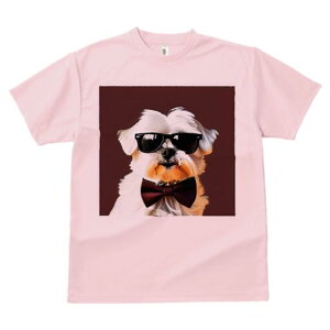 }`[Y TVc  j[NfUCfB[X t@  t vg lJWA 킢 lԗp Mtg I ҏ΍ TOX }`[Y lN^C