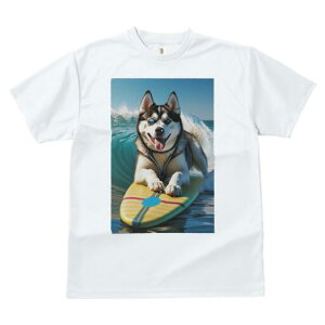 nXL[ TVc  j[NfUCfB[X t@  t vg lJWA 킢 lԗp Mtg I ҏ΍ T[tB nXL[ g C