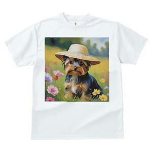 [NV[eA TVc  j[NfUCfB[X t@  t vg lJWA 킢 lԗp Mtg I ҏ΍ Xq [NV[eA  