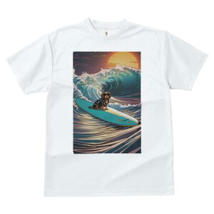 LoA TVc  j[NfUCfB[X t@  t vg lJWA 킢 lԗp Mtg I ҏ΍ g LoA T[tB z C