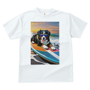 o[j[Y}EehbO TVc  j[NfUCfB[X t@  t vg lJWA 킢 lԗp Mtg I ҏ΍ T[tB o[j[Y}E