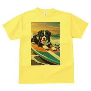 o[j[Y}EehbO TVc  j[NfUCfB[X t@  t vg lJWA 킢 lԗp Mtg I ҏ΍ T[tB o[j[Y}E