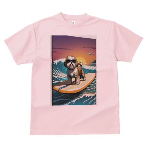 V[Y[ TVc  j[NfUCfB[X t@  t vg lJWA 킢 lԗp Mtg I ҏ΍ g V[Y[ T[tB C [Ă