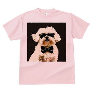 }`[Y TVc  j[NfUCfB[X t@  t vg lJWA 킢 lԗp Mtg I ҏ΍ TOX }`[Y lN^C