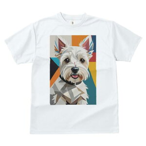 EGXgnChzCgeA TVc  j[NfUCfB[X t@  t vg lJWA 킢 lԗp Mtg I ҏ΍ 􉽊w͗l EGXgn